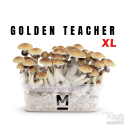 Mondo® kit di coltivazione Golden Teacher XL