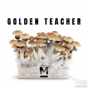 Mondo® kit di coltivazione Golden teacher