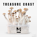 Mondo® kit di coltivazione Treasure Coast