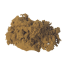  Sakae Naa Combretum Quadrangulare Extract 25x