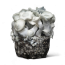 APE221 Cloud920 Grow Bag