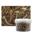 Kit per la coltivazione all'aperto di Psilocybe azurescens (Foto di Caleb Brown, via Wikimedia Commons)