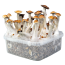 McKennaii Cloud920® Classic XL Grow Kit