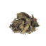 Chacruna | Psychotria viridis  