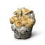 Kit di coltivazione funghi Hillbilly Pumpkin Cloud920