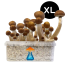 GetMagic McKennaii XL Grow Kit
