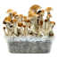 McKennaii Cloud920® Classic XL Grow Kit