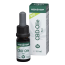 18% Organic CBD Oil | Medihemp RAW