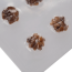 Microdosing Magic Truffles | Sigillato sottovuoto 