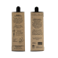 Chaga mushroom tincture - Inonotus obliquus extract 
