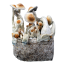 Yellow Umbo Cloud920 Grow Kit