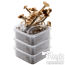 magic mushroom XL grow kit combi pack