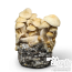 Cascadian Teacher Cloud920® XL Grow Kit
