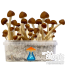 GetMagic Colombia+ Magic Mushrooms Grow Kit