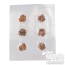 Microdosing Magic Truffles | Sigillato sottovuoto 