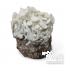 True Albino Teacher Cloud920® XL Grow Kit